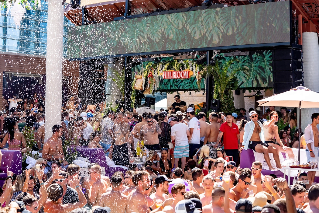 Marquee Dayclub cover image